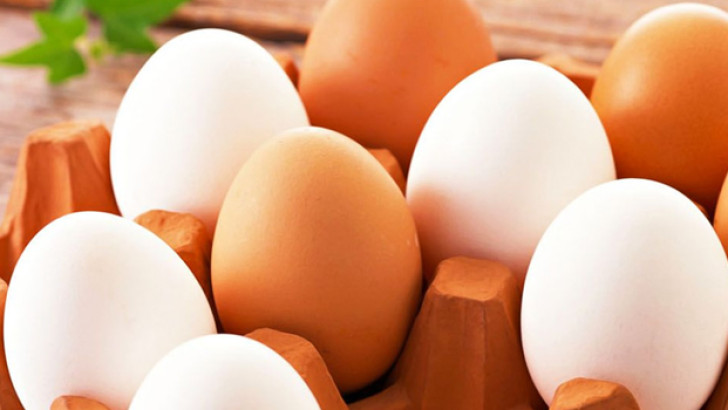 Yumurta üretiminde yüzde 1.5 artış